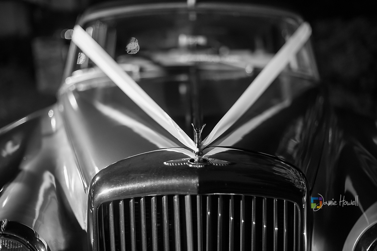 Callanwolde Fine Arts South Asian Wedding Reception (20)