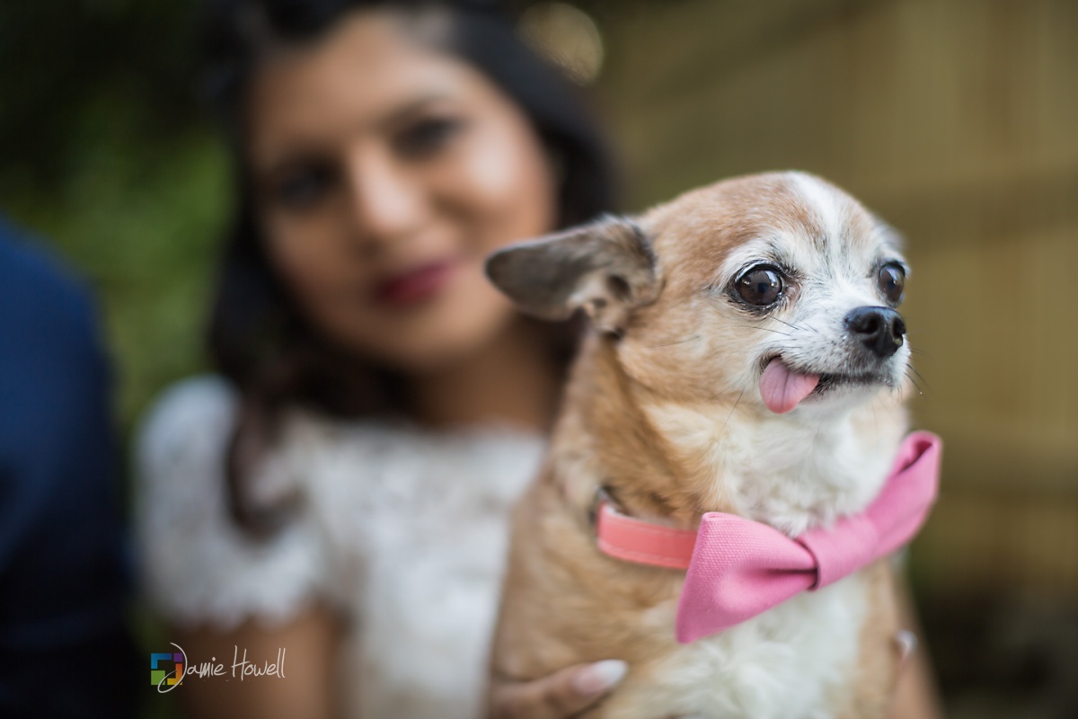 Sweetwater Creek State Park Wedding (16)