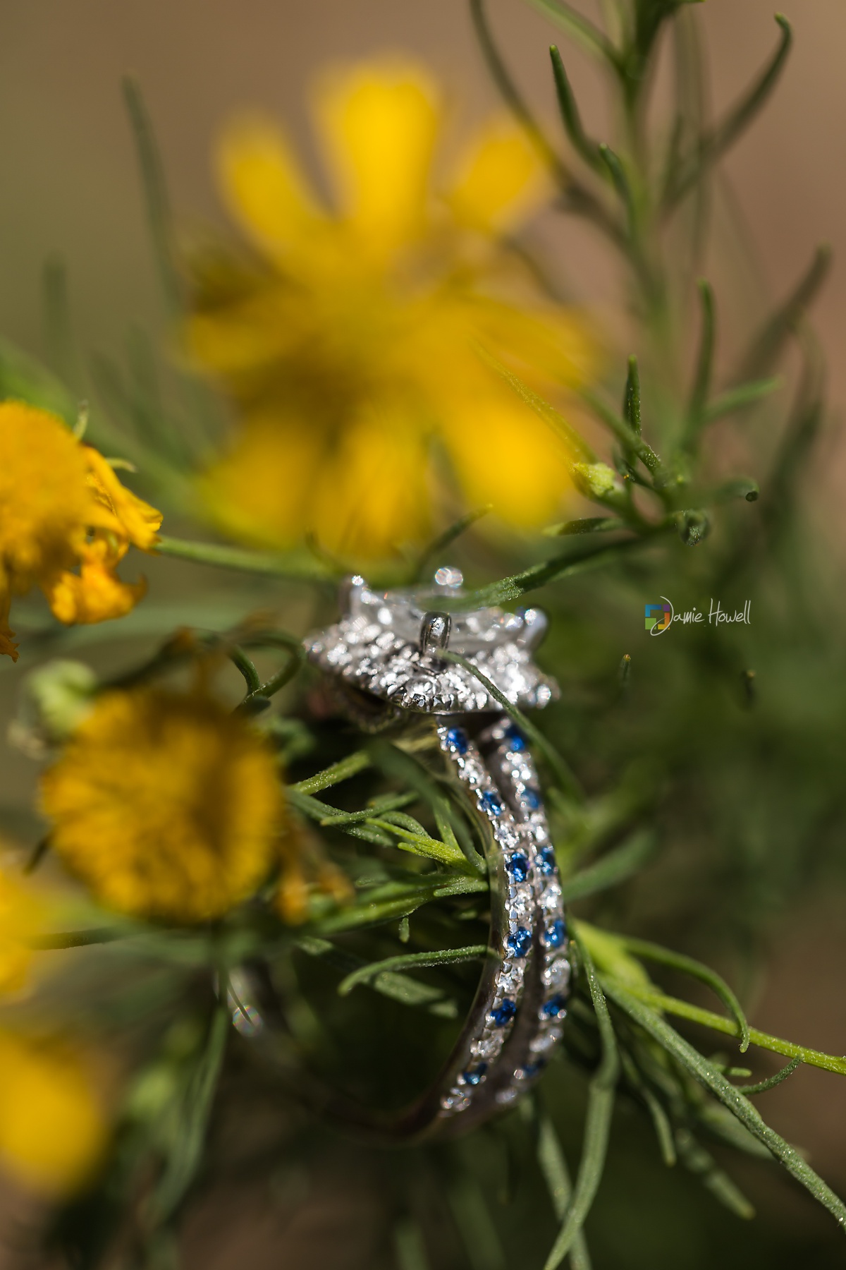 Goat Farm engagement session (13)