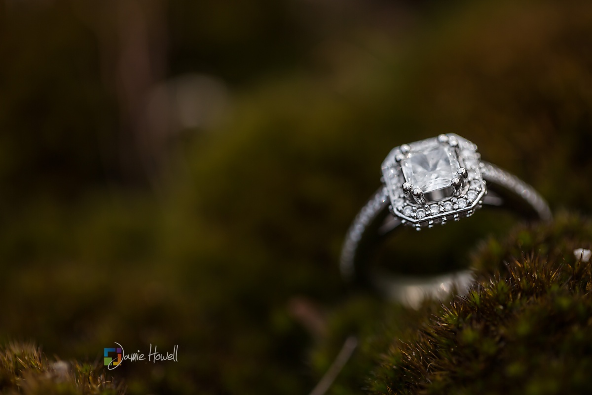 Stone Mountain engagement session (6)